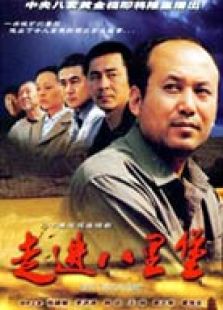 《军营芝麻官》电视剧全集-高清在线观看-免费