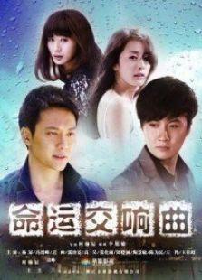 《命运交响曲》电视剧全集-高清在线观看-免费