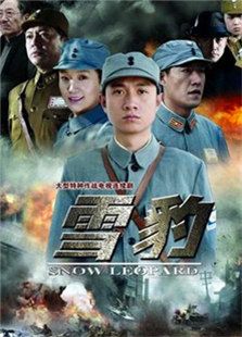 《雪豹》电视剧全集-高清在线观看-免费迅雷下