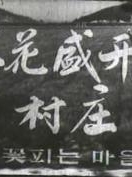 鲜花盛开的村庄完整版