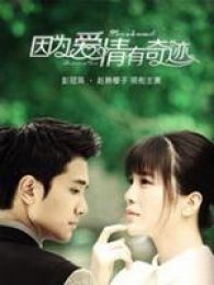 因为爱情有奇迹全集