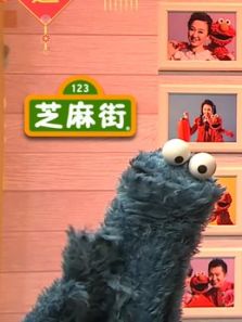 芝麻街 央视特别节目 2017