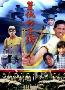 复仇的子弹完整版