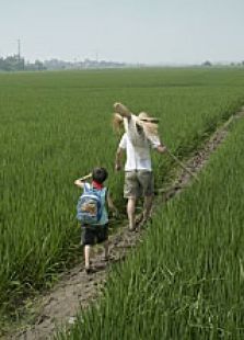 再见稻草人微电影