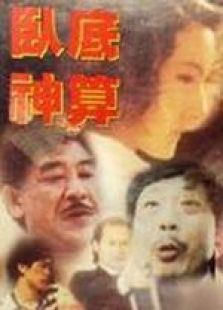 卧底神算国语完整版