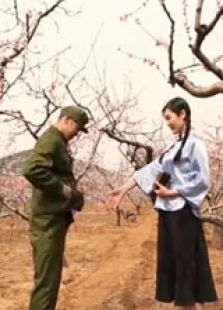 桃花恋微电影