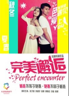 完美邂逅免费观看