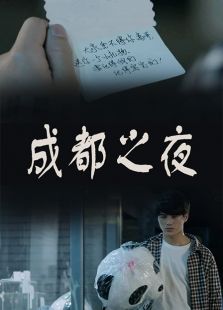 成都之夜微电影