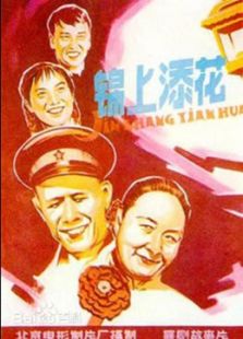 锦上添花免费观看