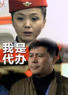 我是代办完整版