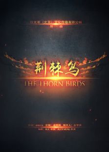 荆棘鸟微电影免费观看