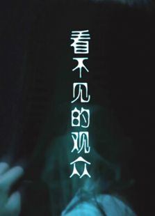 看不见的观众