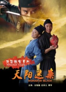 侠侣探案系列天阳迷案完整版