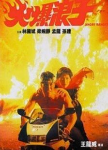 《女拳王1拳坛争霸》电影完整版_高清视频资源在线观看-2345电影