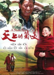 天上的菊美免费观看