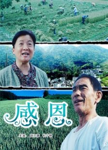 感恩完整版