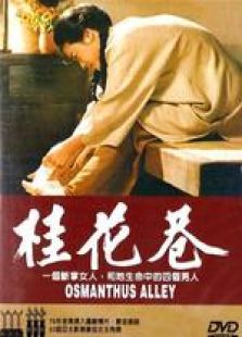 桂花巷国语完整版