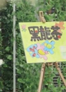 黑龙茶