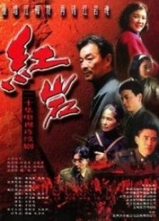 红岩第2部完整版