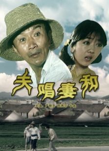 夫唱妻和完整版
