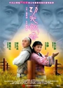 功夫咏春完整版