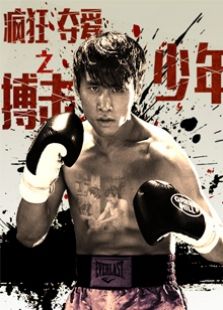 疯狂夺爱之搏击少年免费观看