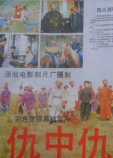 《仇中仇》影评