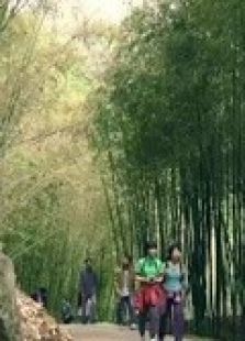 《幸福终点站》微电影