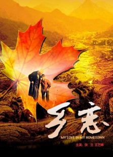 《乡恋》电影-高清电影完整版-免费在线观看-迅