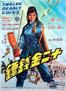 十二金钱镖完整版