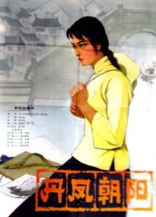 丹凤朝阳完整版