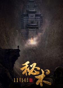 秘术之盗墓江湖(2014)电影.6分