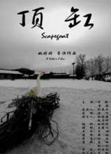 顶缸免费观看