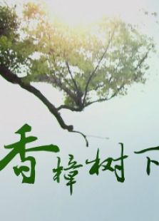 香樟树下微电影
