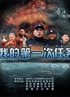 我的第一次任务