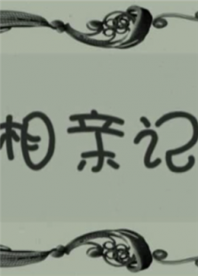 相亲记完整版