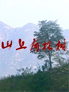 山上有棵树完整版