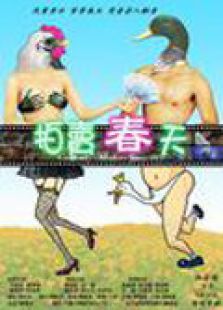 拍卖春天完整版
