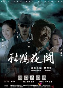 杜鹃花开微电影