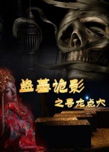 《盗墓诡影之九星雍王墓》电影-高清电影完整