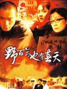 野百合也有春天完整版