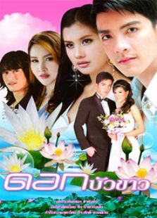 白莲花电视剧全集