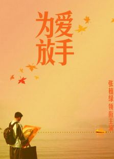为爱放手[2011]