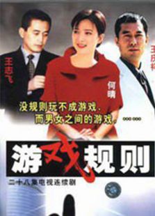 游戏规则2000电视剧全集
