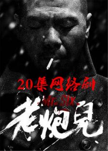 老炮儿免费版电视剧全集