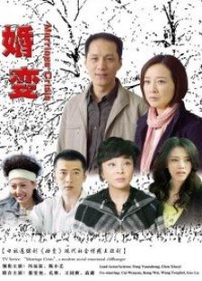 柳叶刀电视剧全集-高清在线观看-免费迅雷下载