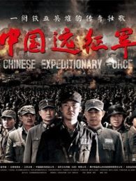 中国远征军TV版电视剧全集