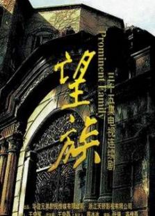 望族电视剧全集