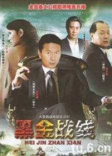 黑金战线电视剧全集