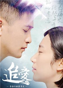 追爱电视剧全集